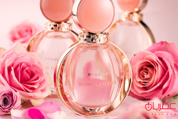 عطر ادکلن بولگاری رز گلدیا