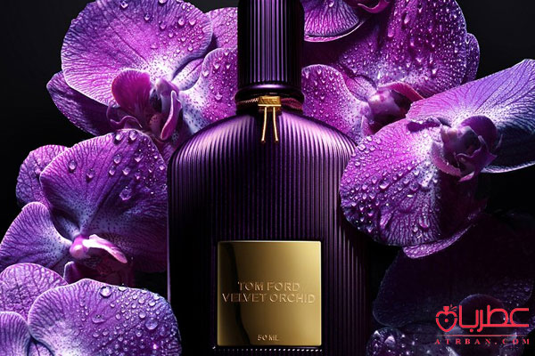 Tom Ford Velvet Orchid