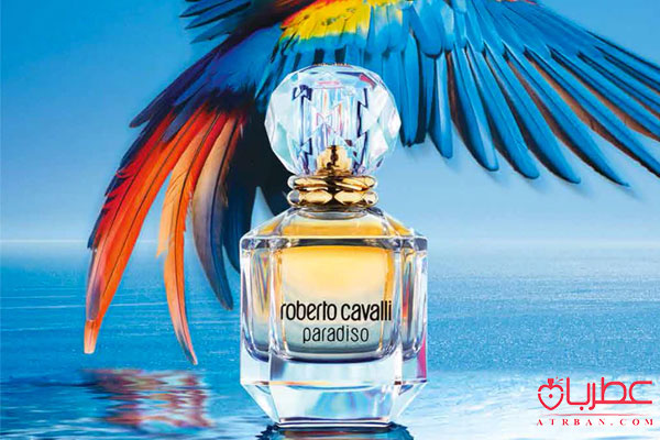Roberto Cavalli Paradiso