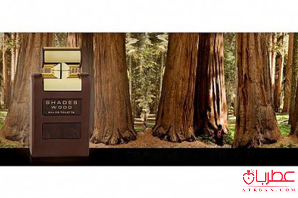 Armaf Shades Wood