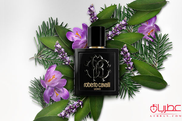 قیمت عطر روبرتو کاوالی اومو