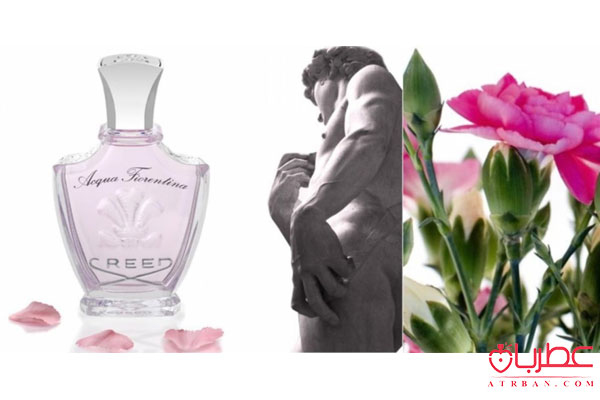 Creed Acqua Fiorentina