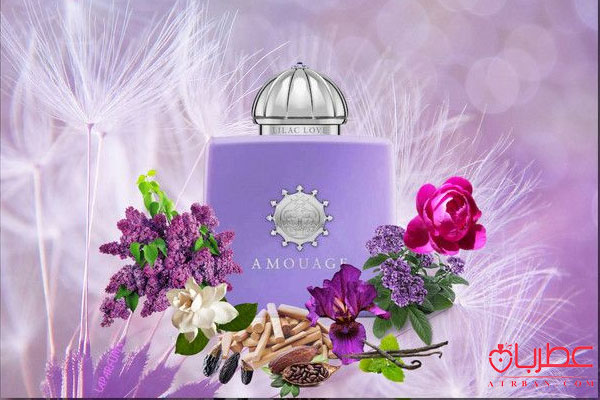 عطر ادکلن آمواج لیلاک لاو