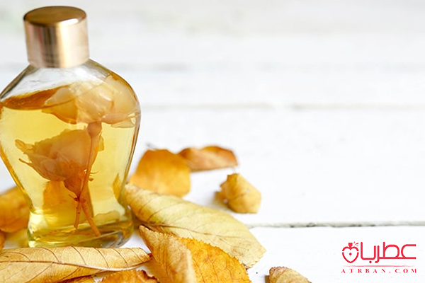 عطر پاییزی با رایحه های چوبی