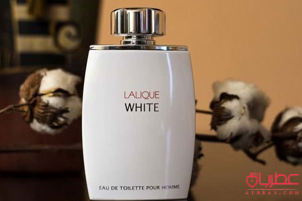 عطر ادکلن لالیک سفید - لالیک وایت 