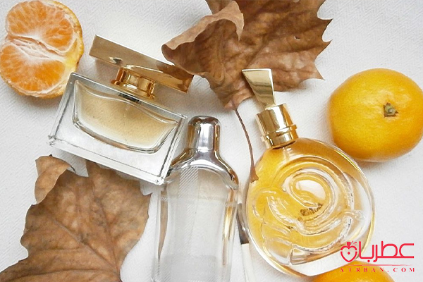  بهترین عطر و ادکلن پاییزی زنانه و مردانه