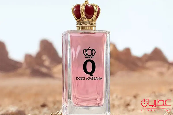 عطر ادکلن دولچه گابانا کیو (کویین)