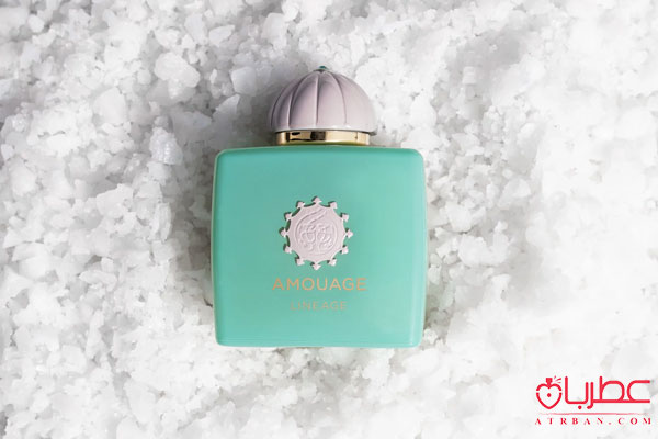 عطر ادکلن آمواج لینیج