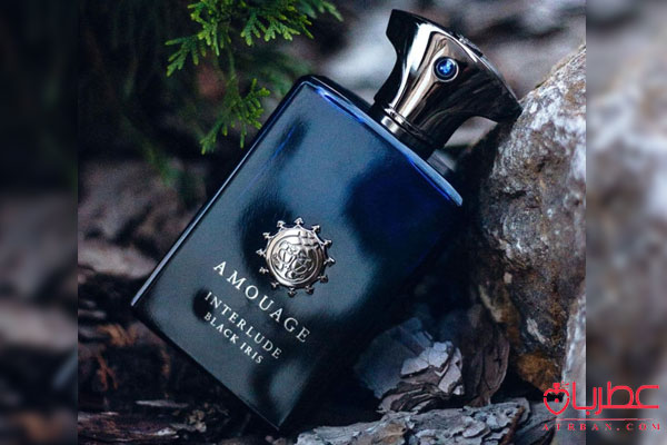 عطر ادکلن آمواج اینترلود بلک ایریس مردانه