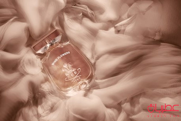 Creed Wind Flowers