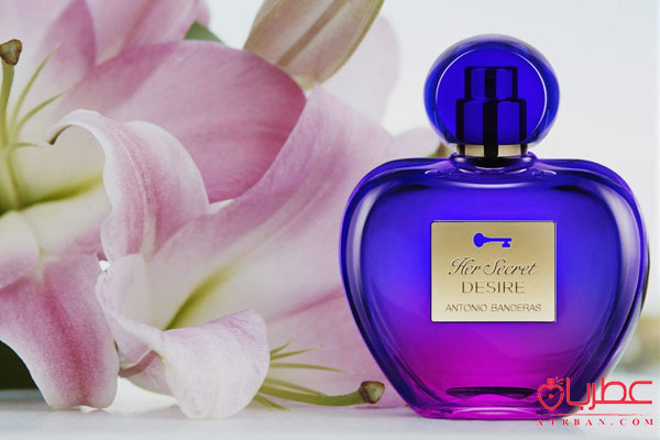 Antonio Banderas Her Secret Desire