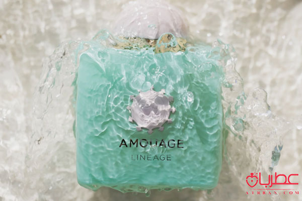 Amouage Lineage