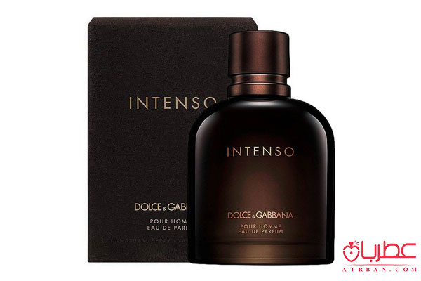 عطر ادکلن دولچه گابانا پور هوم اینتنسو