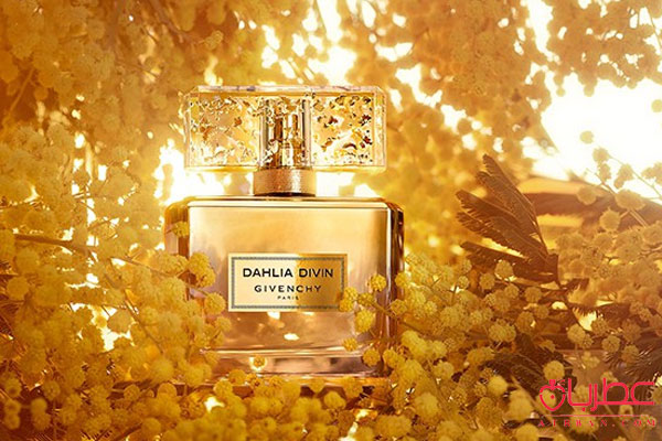 عطر ادکلن جیونچی دالیا دیوین له نکتار د پارفوم