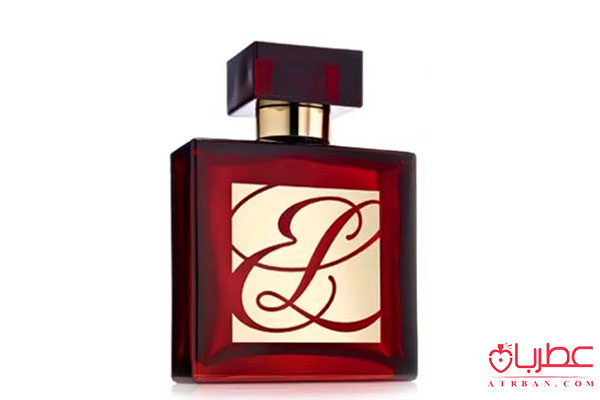 عطر ادکلن استی لودر امبر میستیک
