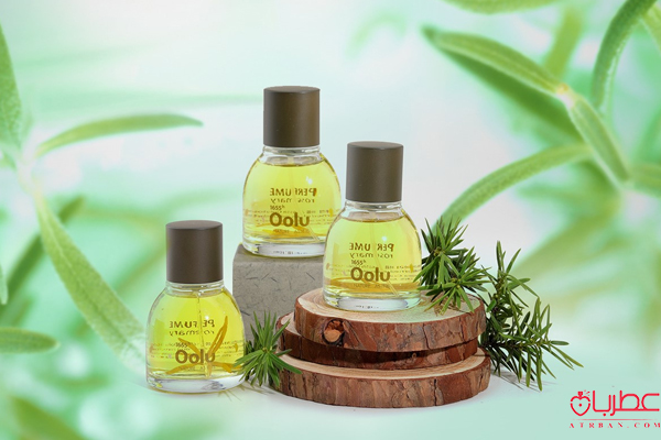 معرفی عطر های آرامش بخش طبیعی