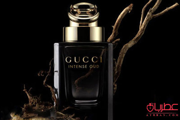 عطر ادکلن گوچی اینتنس عود