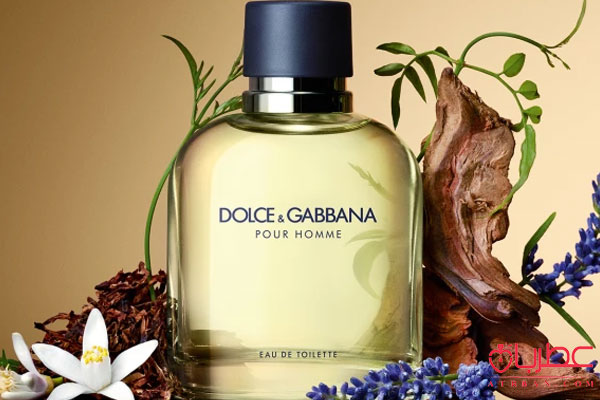 Dolce Gabbana Pour Homme