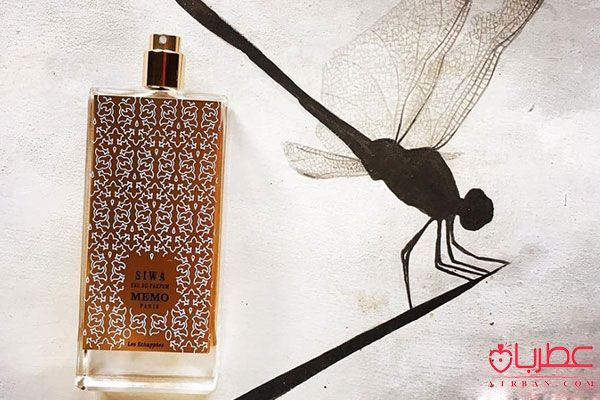 عطر ادکلن ممو پاریس سیوا 