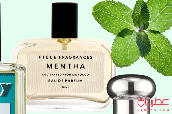 چند عطر آرامش بخش و رویایی