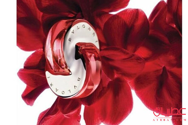 عطر ادکلن بولگاری اومنیا کورال 