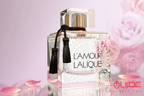 شخصیت شناسی عطر