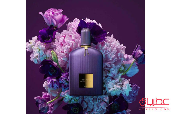 عطر ادکلن تام فورد ولوت ارکید لومیر