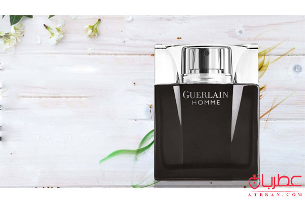 Guerlain Homme Intense