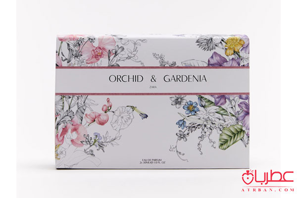 Zara gardenia and orchid