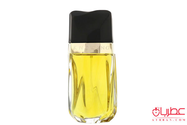عطر ادکلن استی لودر نویینگ