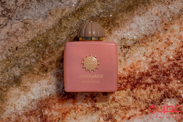 Amouage Guidance