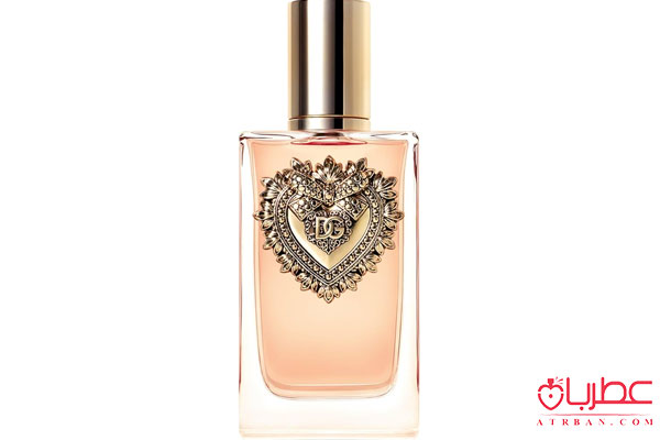 عطر ادکلن دولچه گابانا دوشن