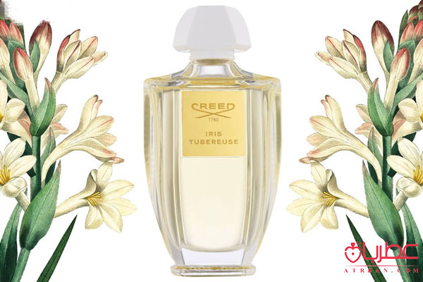 Creed Iris Tubereuse