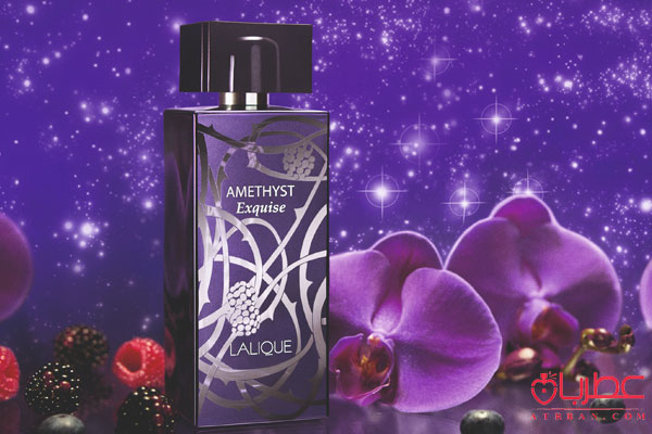 عطر ادکلن لالیک آمیتیس اکسکوئیز