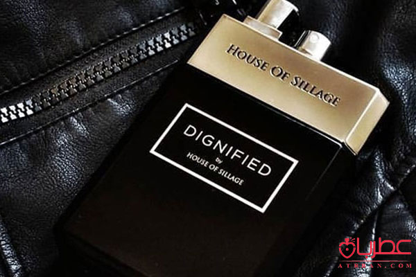   DiHouse Of Sillagegnified