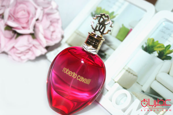Roberto Cavalli Exotica