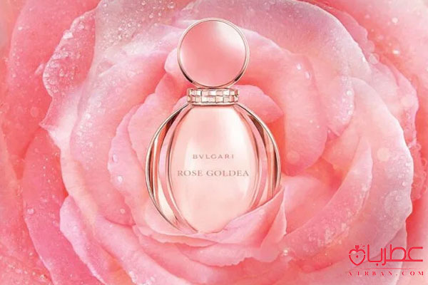 Bvlgari Rose Goldea