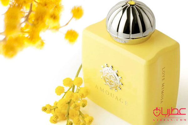عطر ادکلن آمواج لاو میموسا 