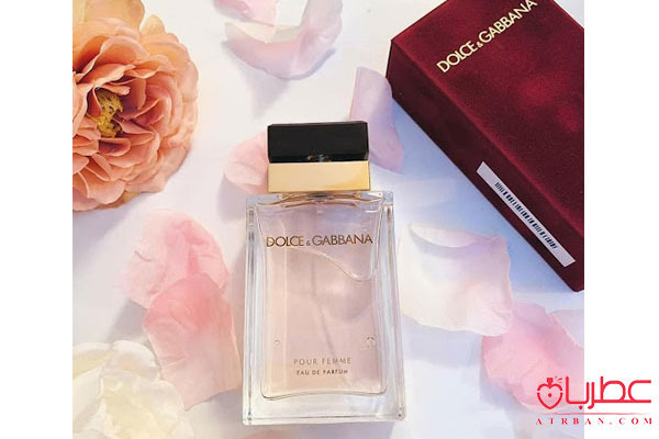 عطر ادکلن دولچه گابانا پور فم