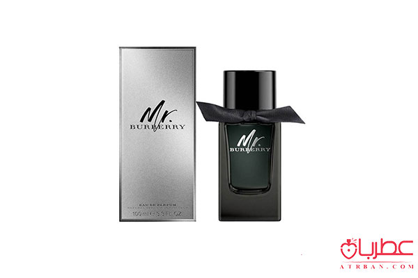 Burberry Mr. Burberry Eau de Parfum