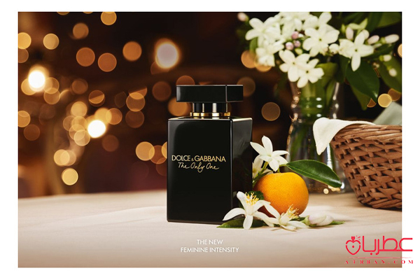 عطر دولچه گابانا د اونلی وان اینتنس، ادو پرفیوم د اونلی وان اینتنس زنانه،