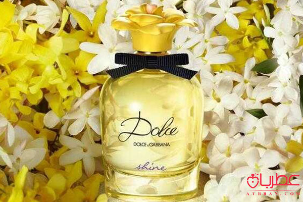 عطر ادکلن دولچه گابانا دولچه شاین 