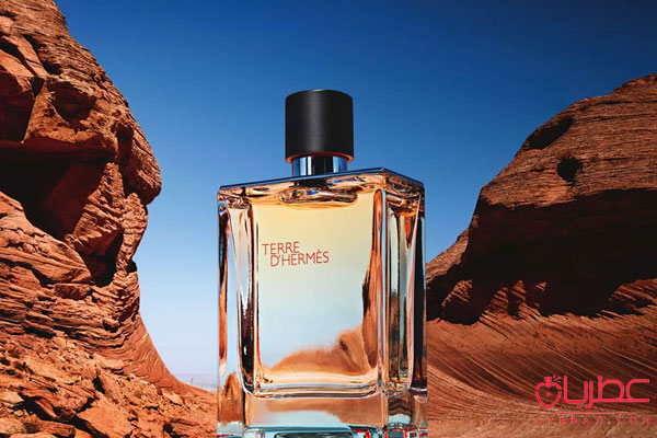 عطر ادکلن هرمس تق هرمس پرفیوم
