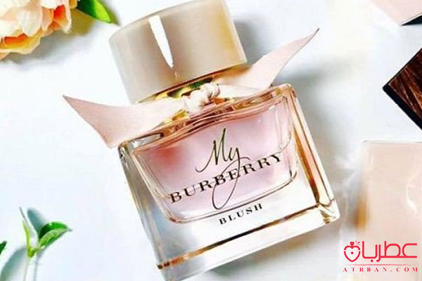 عطر ادکلن باربری مای باربری بلاش