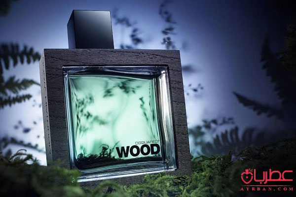 عطر ادکلن دسکوارد2 هی وود راکی مانتین وود مشکی