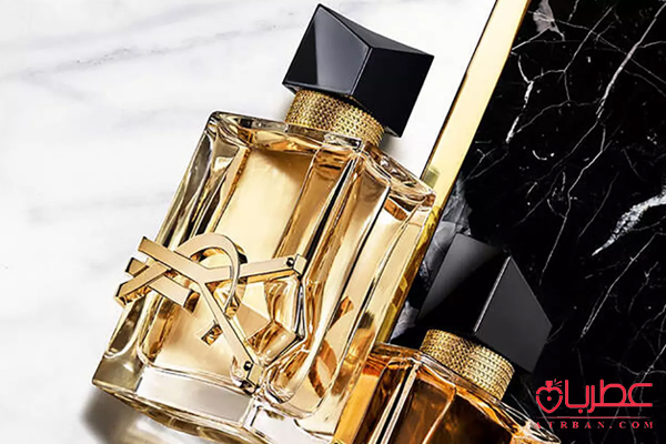 شخصیت شناسی با عطر