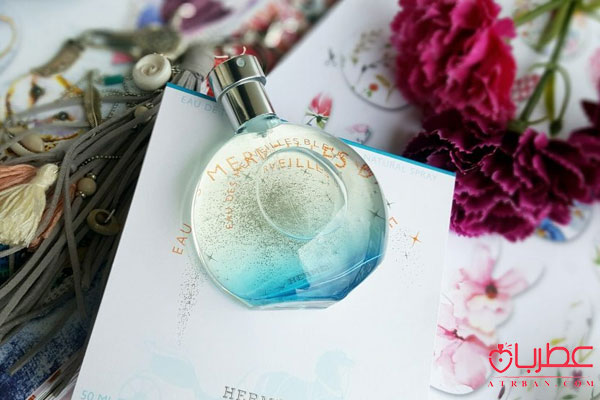 Hermes Eau des Merveilles Bleue