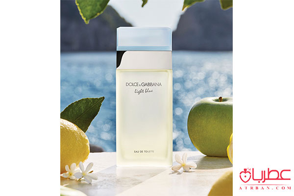  Dolce Gabbana Light Blue