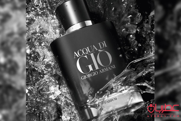 Giorgio Armani Acqua di Giò Parfum