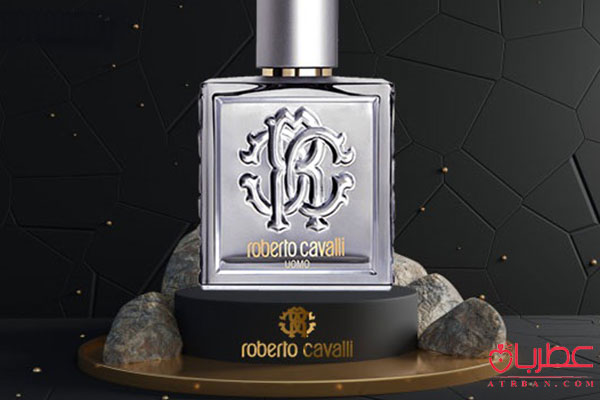 Roberto Cavalli Uomo Silver Essence